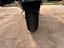 Immagine 6