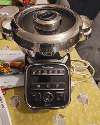 moulinex companion xl