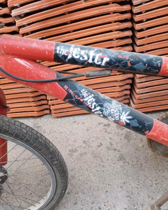 BMX THE JESTER