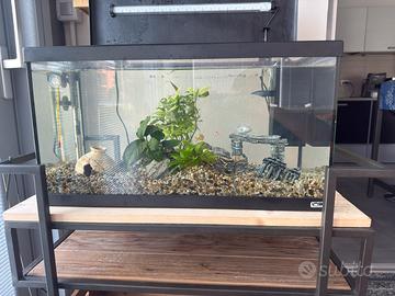 Splendido Acquario da 60 litri