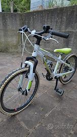 bicicletta taglia 24 ferrini
