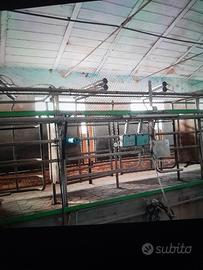 sala mungitrice westfalia