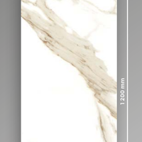 Gres 60x120 Lucido