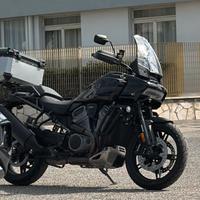 PANAMERICA SPECIAL 2021