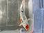 Immagine 2