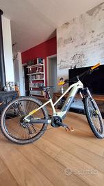 Ebike mountain
