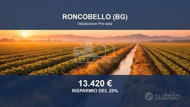 Immobile in asta di 10555 m² a Roncobello