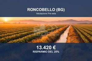 Immobile in asta di 10555 m² a Roncobello