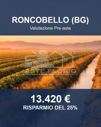 Immobile in asta di 10555 m² a Roncobello