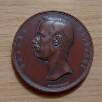 Medaglia del 1873 Urbano Rattazzi di grande modulo