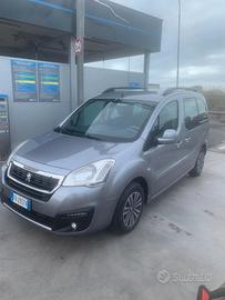 Peugeot  patner