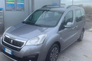 Peugeot  patner