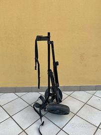 carrello golf