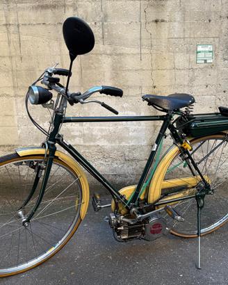 Bicicletta wander con mosquito 38 B