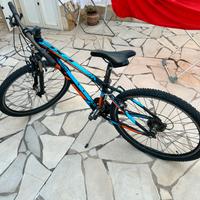 Bicicletta mountain bike