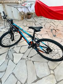 Bicicletta mountain bike