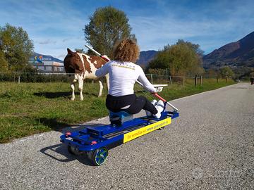simulatore canoa da pista