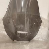 Parabrezza Honda Forza 750 new 2025