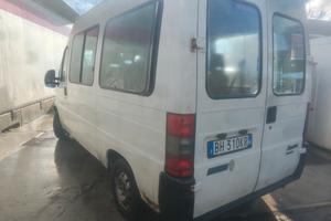 ducato 9 posti