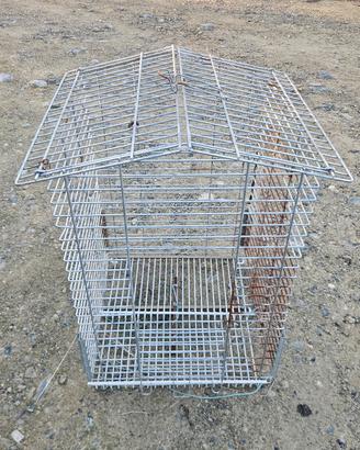 Gabbia volatili pappagalli canarini