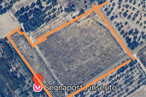 Terreni vigneto