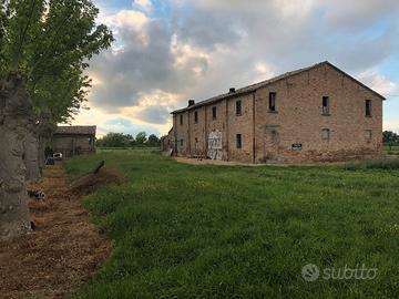 Casa colonica più terreno