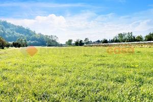 Terreno Agricolo Pinerolo [Cod. rif 3098721VCG]