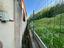 Immagine 22