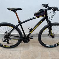 Bicicletta MTB Bottecchia 109