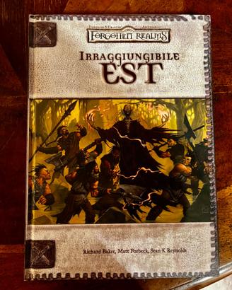 Irraggiungibile est forgotten realms