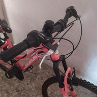 bicicletta Mountain bike da 24