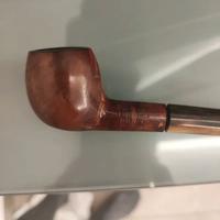 Pipa radica e corno Non canta la raganella