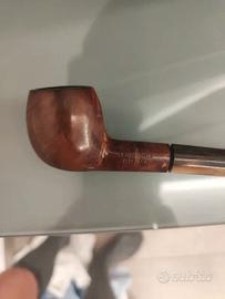 Pipa radica e corno Non canta la raganella