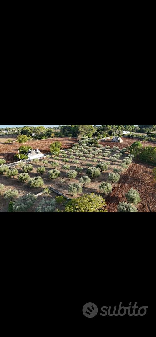 Terreno rustico - Vista 5