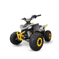 QUAD BABY KONDOR 110CC 4T 7 POLLICI RUOTA LEM