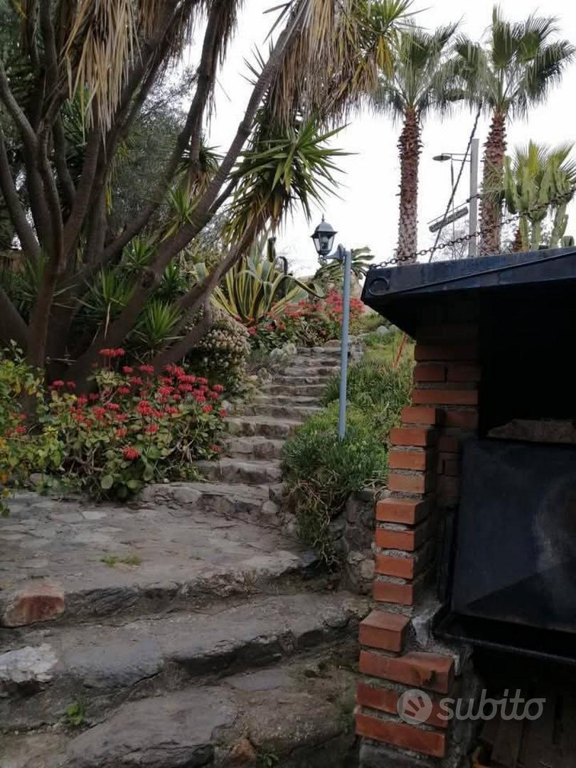 S.Fantino tenuta uliveto vitigno stalla casa - Altro
