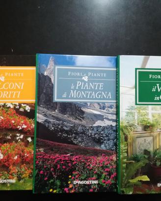 FIORI E PIANTE