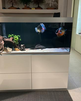 ACQUARIO OASE HIGHLINE  OPTIWHITE 400 BIANCO
