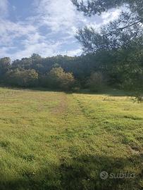 Terreno agricolo 32.173 m² con pozzo - Scandriglia