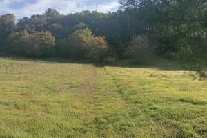 Terreno agricolo 32.173 m² con pozzo - Scandriglia