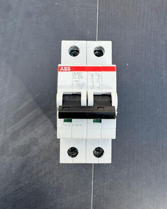 Abb magnetotermico C25 2cds252001r0254