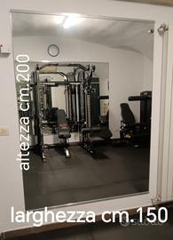 specchio per palestra 