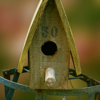 Casetta per uccelli in legno