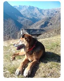 Monolocale con giardino