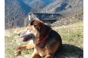 Monolocale con giardino