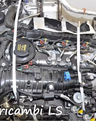 Motore 204dta