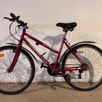 Bici jumpertrek mariner