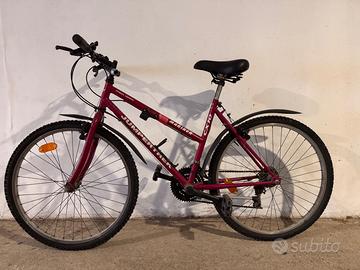 Bici jumpertrek mariner