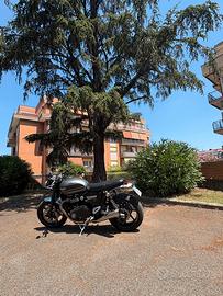 Triumph  speed twin 1200