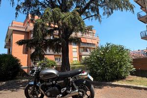 Triumph  speed twin 1200